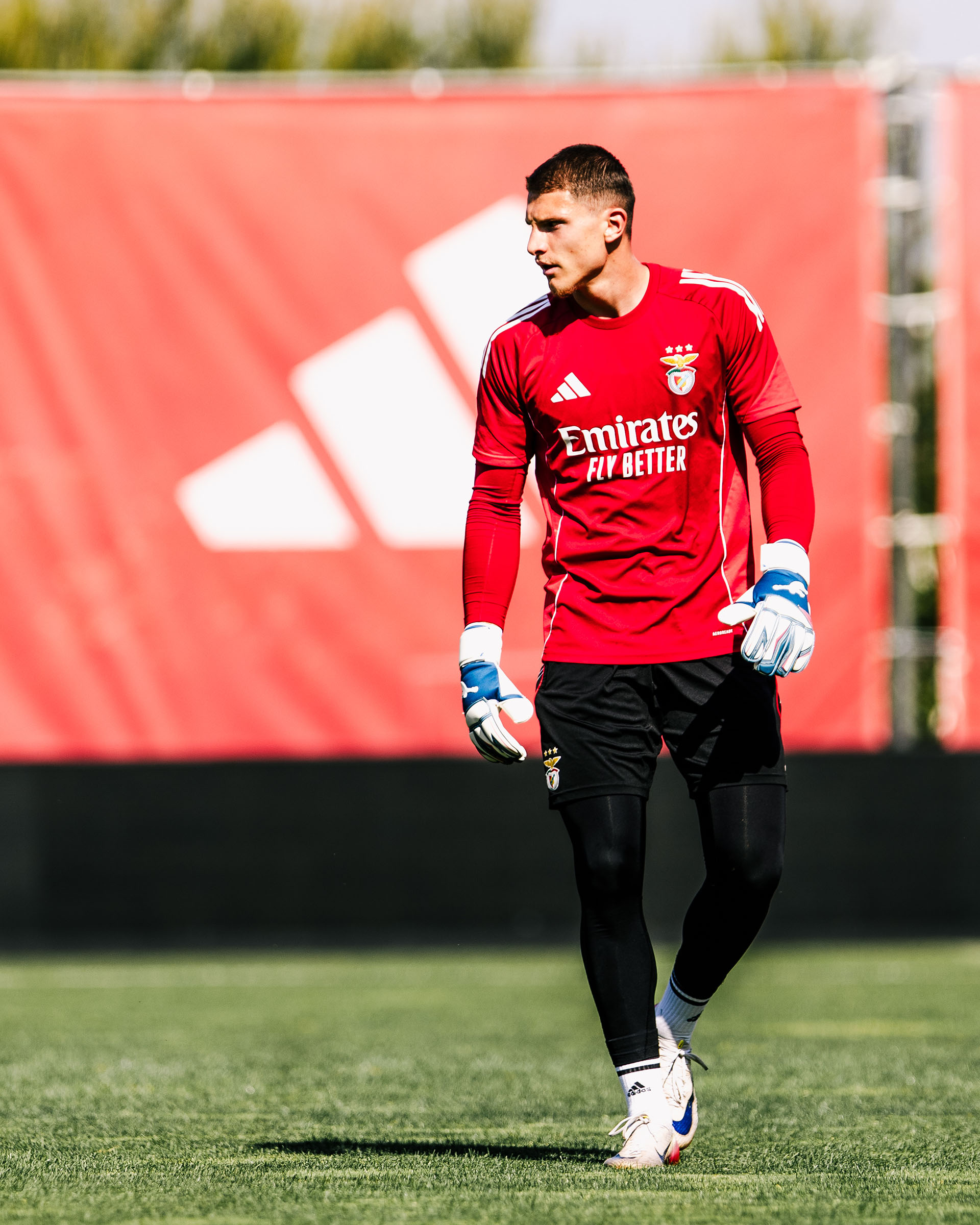 Arnas Voitinovičius juega con Brave GK Unique NG - Tienda online oficial Brave GK